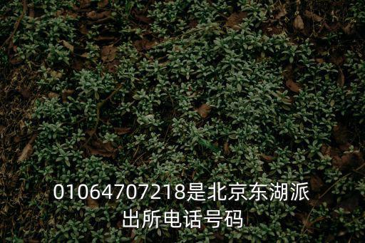 01064707218是北京東湖派出所電話號碼