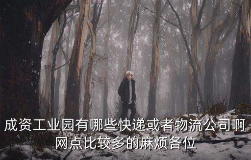 成資工業園有哪些快遞或者物流公司啊網點比較多的麻煩各位