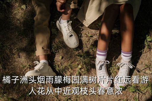 橘子洲頭煙雨朦梅園滿樹片片紅遠(yuǎn)看游人花從中近觀枝頭春意濃