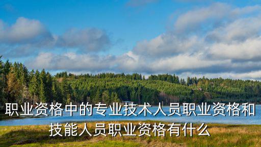 職業資格中的專業技術人員職業資格和技能人員職業資格有什么