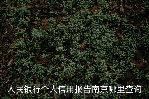 人民銀行個人信用報告南京哪里查詢