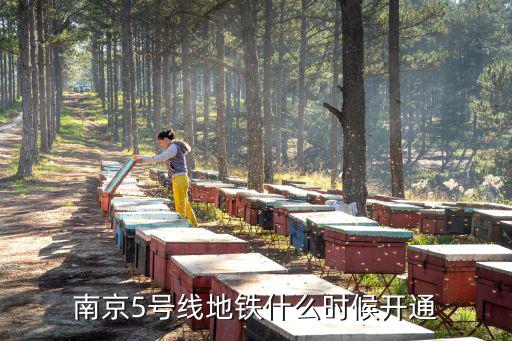 南京5號線地鐵什么時候開通