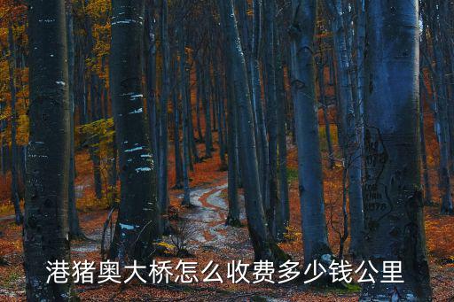 港豬奧大橋怎么收費(fèi)多少錢(qián)公里