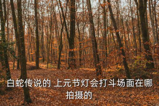 上元燈會，開封市民憑身份證買上元燈會的門票有優(yōu)惠嗎