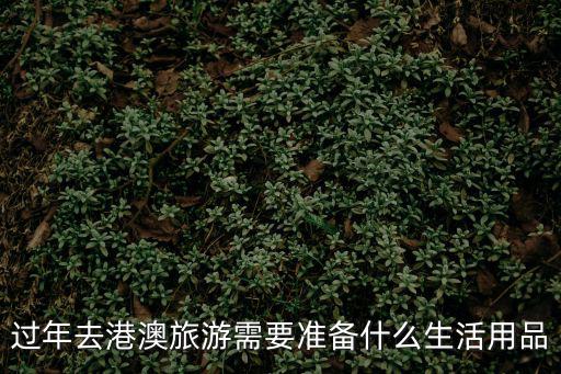 春節港澳游，過年去港澳旅游需要準備什么生活用品