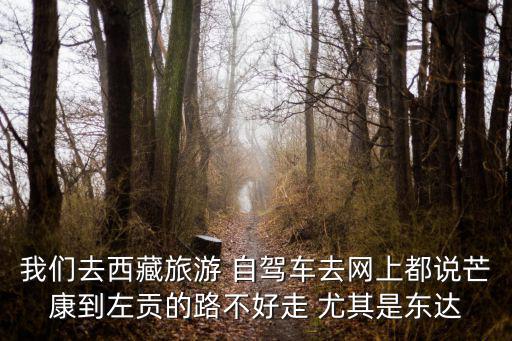 我們?nèi)ノ鞑芈糜?自駕車去網(wǎng)上都說(shuō)芒康到左貢的路不好走 尤其是東達(dá)