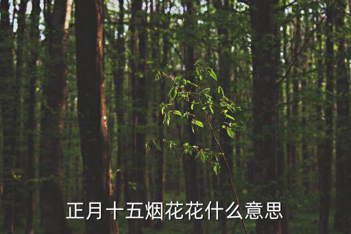 正月十五煙花花什么意思