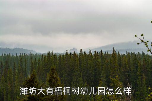 梧桐樹幼兒園，沈陽市鐵西梧桐幼兒園怎么樣