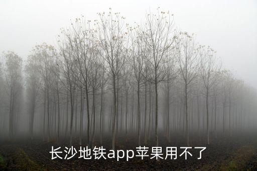 長沙地鐵app蘋果用不了