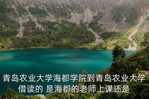 青島農業大學海都學院到青島農業大學借讀的 是海都的老師上課還是