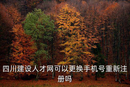 四川省人才網，四川省人才交流中心官方網站是什么
