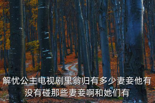 解憂公主電視劇里翁歸有多少妻妾他有沒有碰那些妻妾啊和她們有