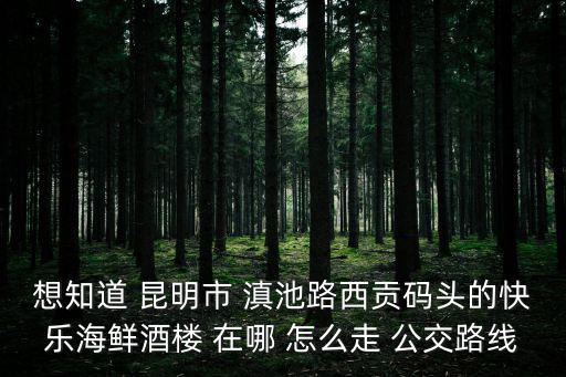 想知道 昆明市 滇池路西貢碼頭的快樂海鮮酒樓 在哪 怎么走 公交路線
