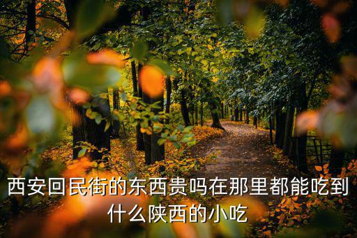 西安回民街，西安回民街怎么玩怎么吃求有經(jīng)驗(yàn)的人跟我大概說說