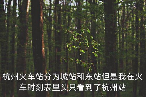 杭州火車站分為城站和東站但是我在火車時刻表里頭只看到了杭州站