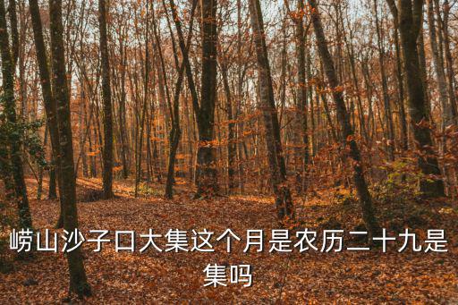 嶗山沙子口大集這個月是農歷二十九是集嗎
