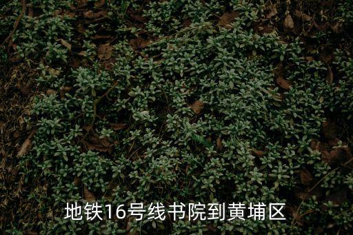 地鐵16號(hào)線書院到黃埔區(qū)