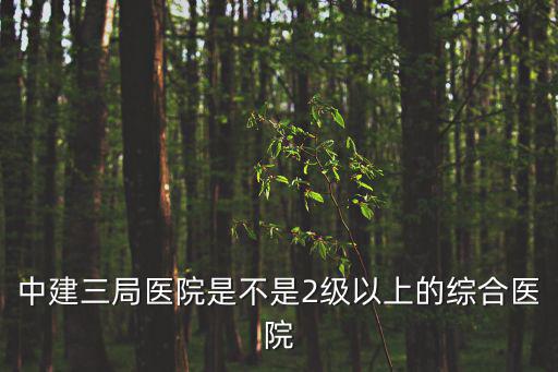 中建三局醫(yī)院是不是2級以上的綜合醫(yī)院