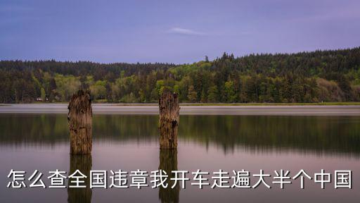 怎么查全國違章我開車走遍大半個中國