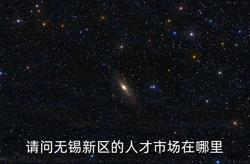請問無錫新區的人才市場在哪里