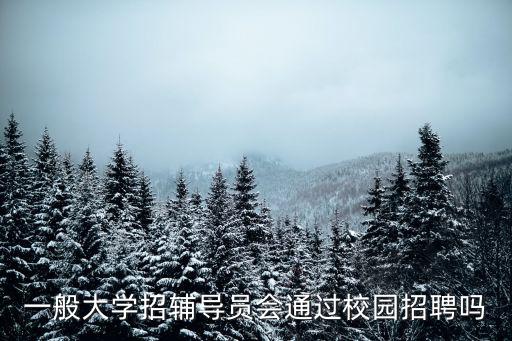 一般大學(xué)招輔導(dǎo)員會通過校園招聘嗎