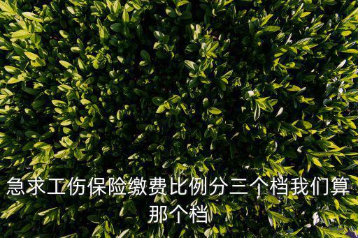 急求工傷保險(xiǎn)繳費(fèi)比例分三個(gè)檔我們算那個(gè)檔