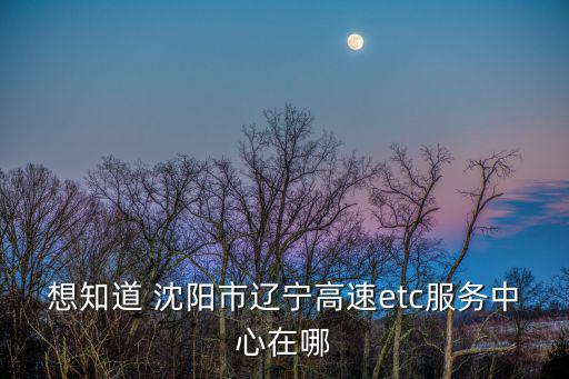 想知道 沈陽市遼寧高速etc服務中心在哪
