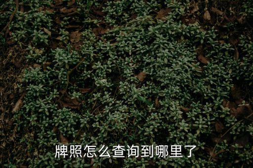 牌照怎么查詢到哪里了