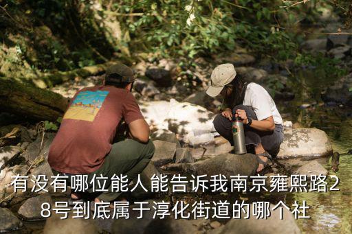 有沒有哪位能人能告訴我南京雍熙路28號到底屬于淳化街道的哪個社