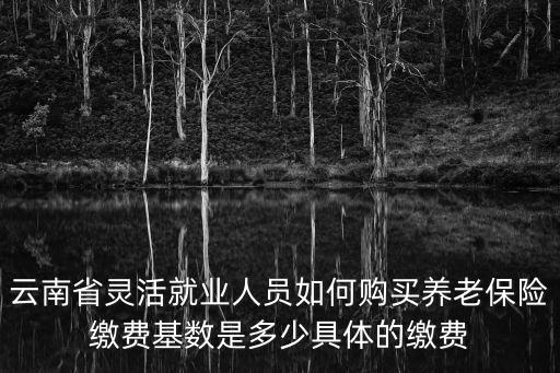 云南省靈活就業(yè)人員如何購買養(yǎng)老保險繳費基數是多少具體的繳費