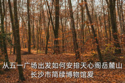 從五一廣場出發如何安排天心閣岳麓山長沙市簡牘博物館愛