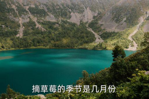 草莓采摘，幾月份是草莓采摘的最佳時間