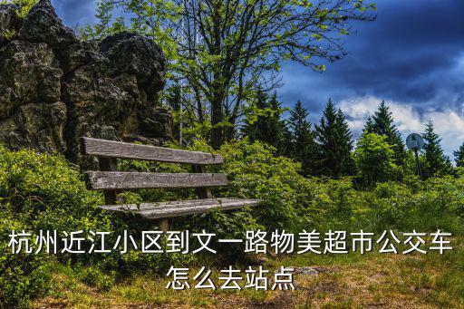 杭州近江小區(qū)到文一路物美超市公交車怎么去站點(diǎn)