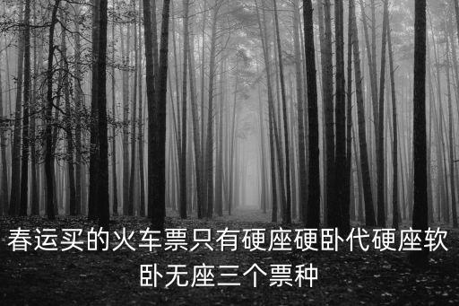春運買的火車票只有硬座硬臥代硬座軟臥無座三個票種