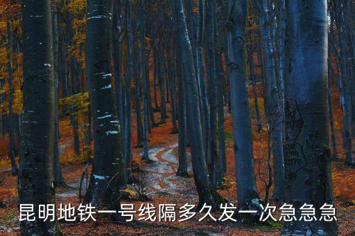 昆明地鐵一號線隔多久發一次急急急