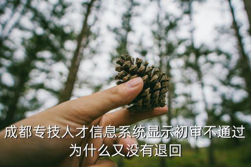 成都專技人才信息系統顯示初審不通過為什么又沒有退回