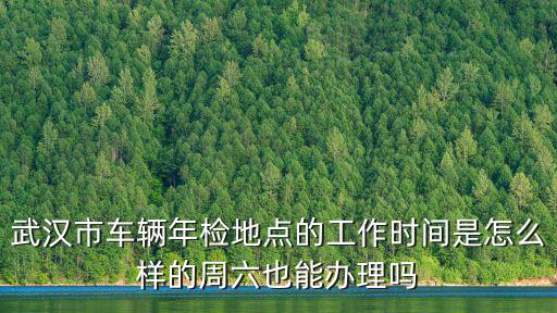 武漢車輛年檢地點(diǎn)，在武漢漢口年檢具體位置在哪里