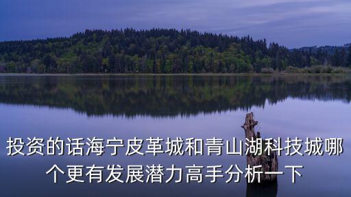 杭州青山湖科技城，投資的話海寧皮革城和青山湖科技城哪個更有發展潛力高手分析一下