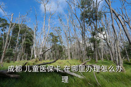 少兒醫保怎么辦理，成都 兒童醫保卡 在哪里辦理怎么辦理