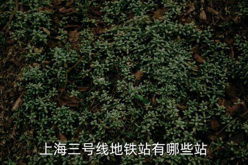 地鐵3號(hào)線所有站點(diǎn)，請(qǐng)問(wèn)武漢地鐵3號(hào)線經(jīng)過(guò)哪些站