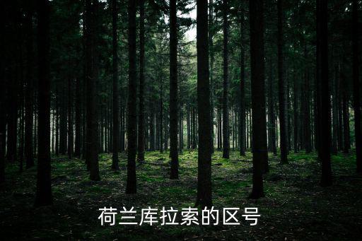 荷蘭庫拉索的區號