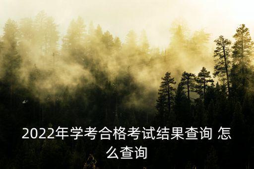 2022年學考合格考試結果查詢 怎么查詢