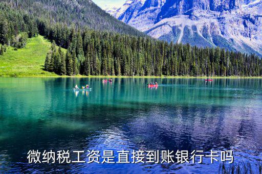 微稅保，在微稅平臺中怎樣進入開增值稅發票