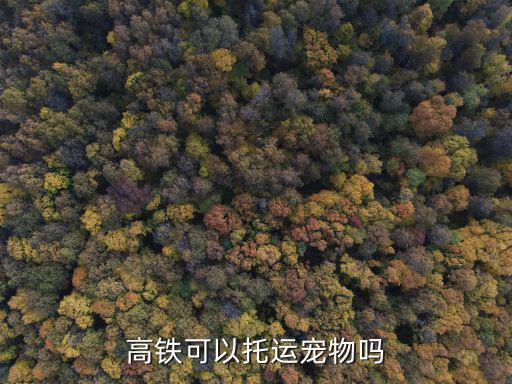 高鐵可以托運寵物嗎