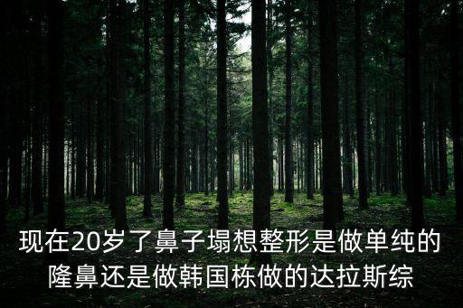現(xiàn)在20歲了鼻子塌想整形是做單純的隆鼻還是做韓國棟做的達(dá)拉斯綜