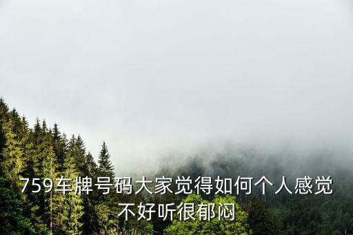 759車(chē)牌號(hào)碼大家覺(jué)得如何個(gè)人感覺(jué)不好聽(tīng)很郁悶