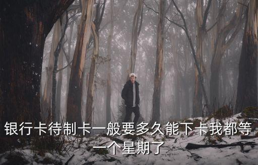 銀行卡待制卡一般要多久能下卡我都等一個(gè)星期了