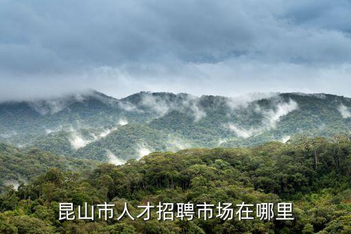 昆山市人才招聘市場在哪里