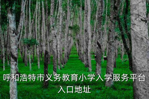 義務教育入學服務平臺，臨沂上小學在哪個網站報名