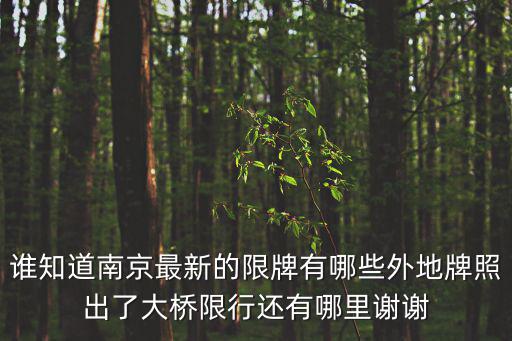 誰知道南京最新的限牌有哪些外地牌照出了大橋限行還有哪里謝謝